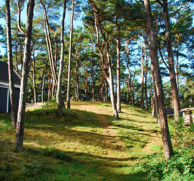 Ferienhaus in Baabe - Panama - Baabe - Bild 24