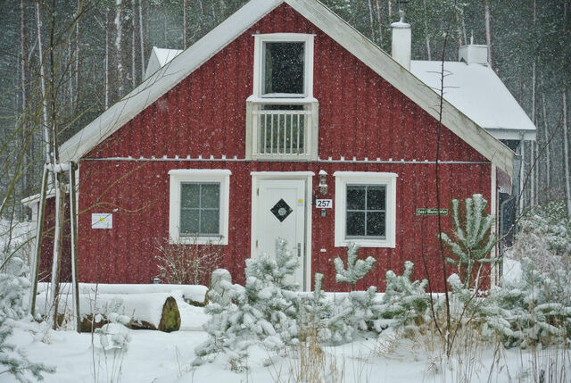 Ferienhaus in Baabe - Meeresbrise - Baabe - Bild 16