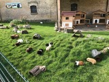 Ferienwohnung in Fehmarn OT Staberdorf - Landhaus 1 - Bild 19