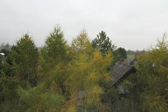 Ferienwohnung in Sch&ouml;nberg - Ferienwohnung L254 an der Ostsee - Bild 11