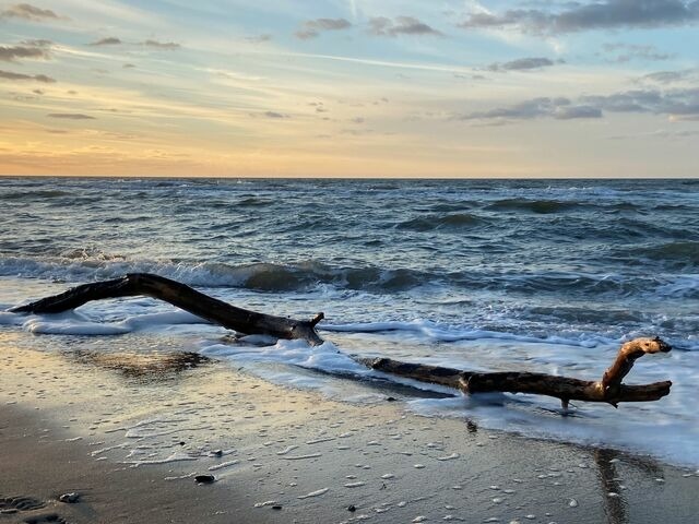 Ferienwohnung in Dierhagen - Ferienwohnung Strandkoje - Bild 22 Ferienwohnung in Dierhagen - Ferienwohnung Strandkoje - Bild 22