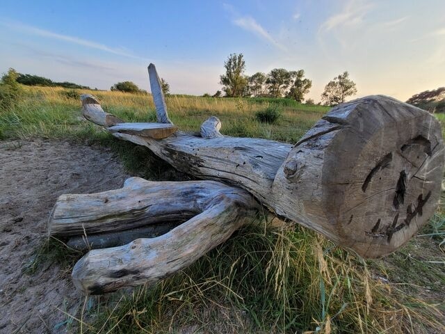 Ferienwohnung in Lütow - Ostsee XXL Ferienwohnung Usedom Familie Stopp (25/26) - Bild 19