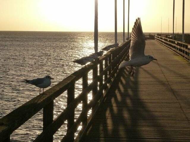 Ferienwohnung in Gro&szlig;enbrode - Little Havana - Gro&szlig;enbrode - Bild 19