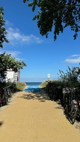 Ferienwohnung in Ostseeheilbad Zingst - Villa Blau Wohnung 03/Studio - Bild 22