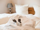 Ferienwohnung in Grömitz - "Das Dünenhaus" - Piratennest - Bild 14