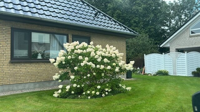 Ferienhaus in Rabenkirchen-Faulück - Ferienhaus Spatz - Bild 17