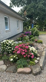 Ferienhaus in Rabenkirchen-Faulück - Ferienhaus Spatz - Bild 18