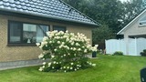 Ferienhaus in Rabenkirchen-Faul&uuml;ck - Ferienhaus Spatz - Bild 18