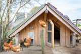 Ferienwohnung in Waabs - Ostseegarten Langholz - Ferienwohnung M&ouml;we (bis 4 Pers) - Bild 21