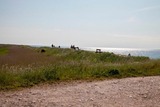 Ferienwohnung in Fehmarn - Silberm&ouml;we - Bild 11