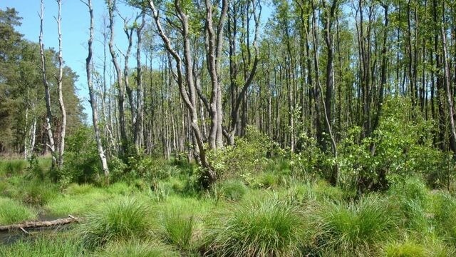 Ferienhaus in Dierhagen - Ferienhaus im Hotelpark - Bild 22