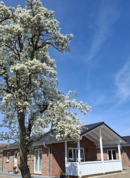 Hof Hagen - "Am Birnenbaum" (Neubau)