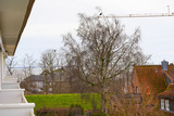 Ferienwohnung in Grömitz - Haus Baltic App. 152 - Bild 14