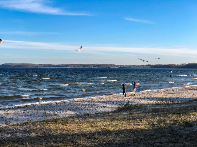Ferienwohnung in Gl&uuml;cksburg - Ferienwohnung Gl&uuml;cks-Burg "Stern" - Bild 23
