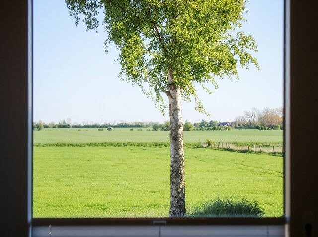 Ferienwohnung in Fehmarn OT Bannesdorf - Ferienwohnung Albert - Bild 14