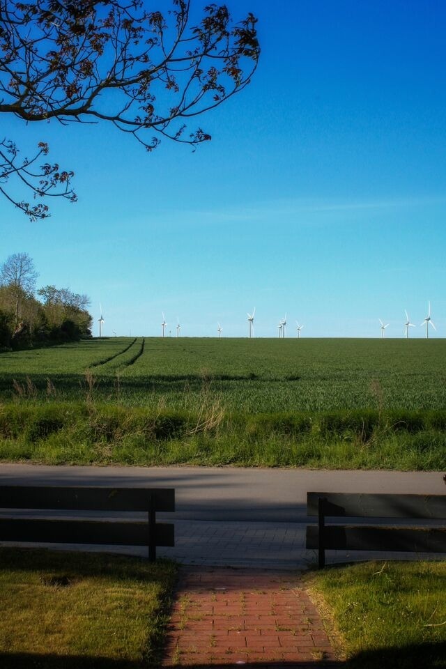 Ferienwohnung in Fehmarn OT Bannesdorf - Ferienwohnung Albert - Bild 16