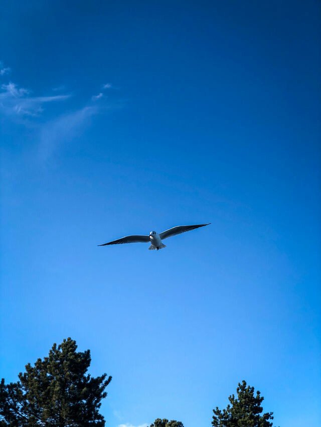Ferienhaus in Gl&uuml;cksburg - Ferienhaus Seepferdchen - Bild 20