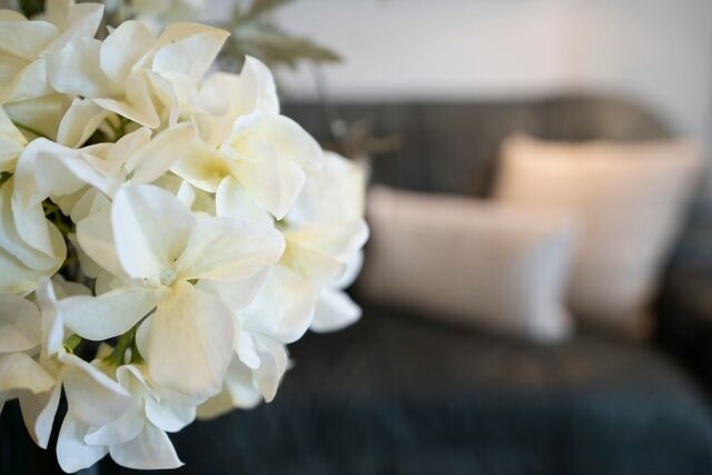 Ferienwohnung in Kellenhusen - Sol Mare Baltic-Stern - Bild 7 Ferienwohnung in Kellenhusen - Sol Mare Baltic-Stern - Bild 7