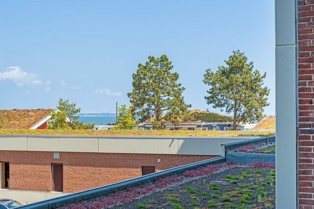 Ferienwohnung in Scharbeutz - Haus Meeresstrand Gestrandet - Bild 10