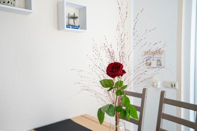 Ferienhaus in Dahme - Lange Wiese- Rosengarten - Bild 17