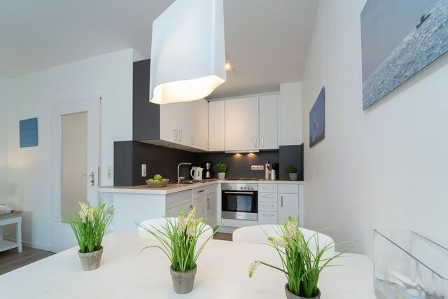 Ferienhaus in Dahme - Austernfischer - Bild 12