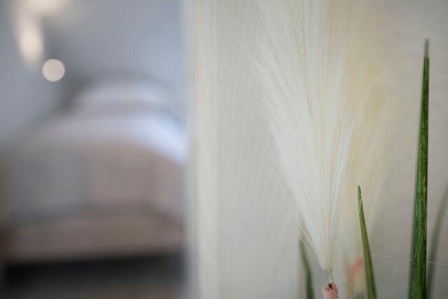 Ferienwohnung in Grömitz - Grüntal Residenz Grüntal Sonne - Bild 18 Ferienwohnung in Grömitz - Grüntal Residenz Grüntal Sonne - Bild 18