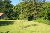 Ferienwohnung in Barkelsby-Hemmelmark - Alte Schule 1 - Bild 12