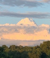 Ferienwohnung in Ascheffel - Wilsterberg FeWo "die Große" - Bild 5