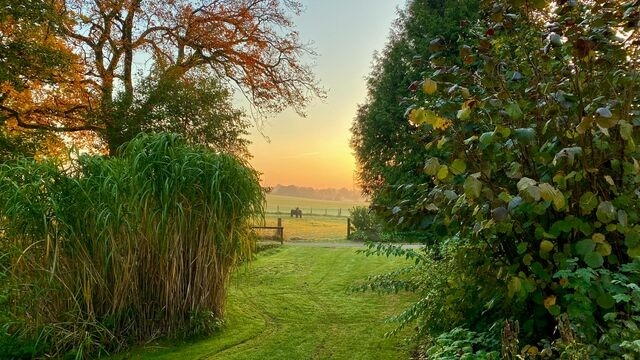 Ferienwohnung in Schönwalde - Wolkenkratzersuite - Bild 22