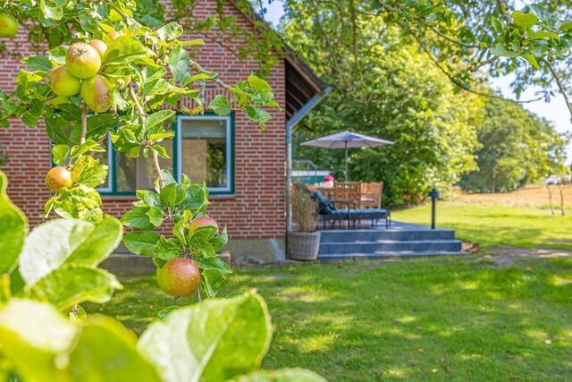 Ferienhaus in Maasholm - Ferienhaus Hummerkoje an der Ostsee auf Gut Oehe - Bild 16