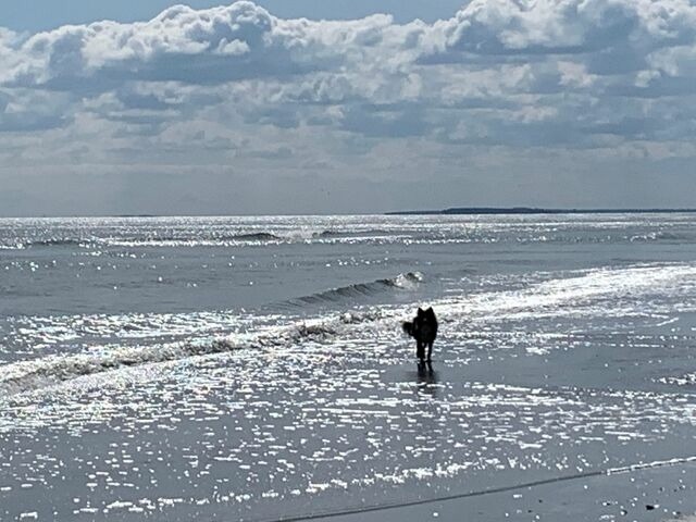 Ferienwohnung in G&ouml;hren - Villa Fernsicht G&ouml;hren Fewo Nr.9 2.OG - Bild 6