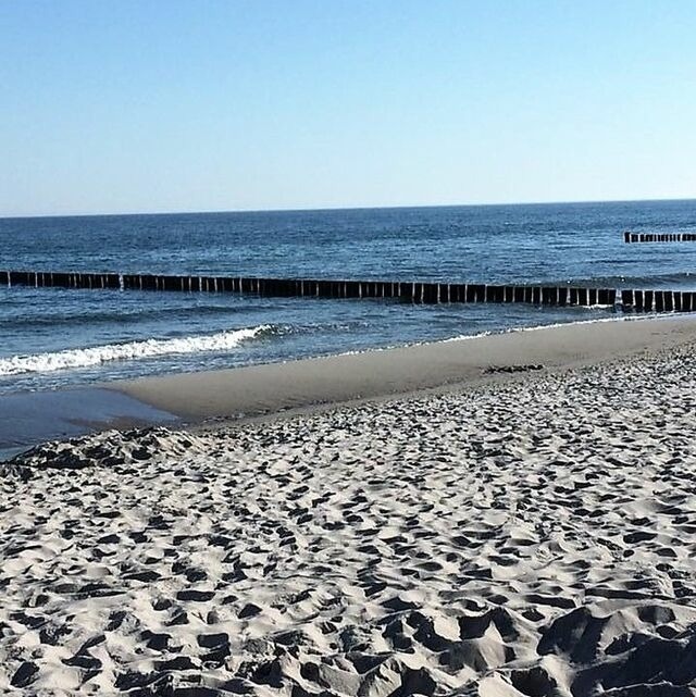 Ferienwohnung in Ostseeheilbad Zingst - Kranich - Bild 18