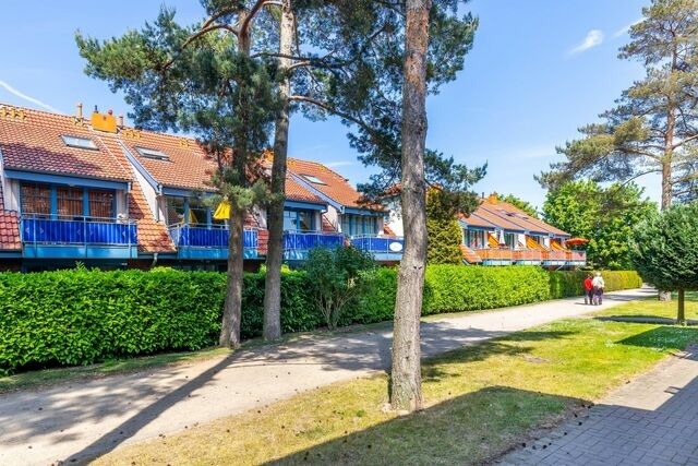 Ferienwohnung in Boltenhagen - Papillon 8-2 Wohnung Ankerplatz - Bild 15
