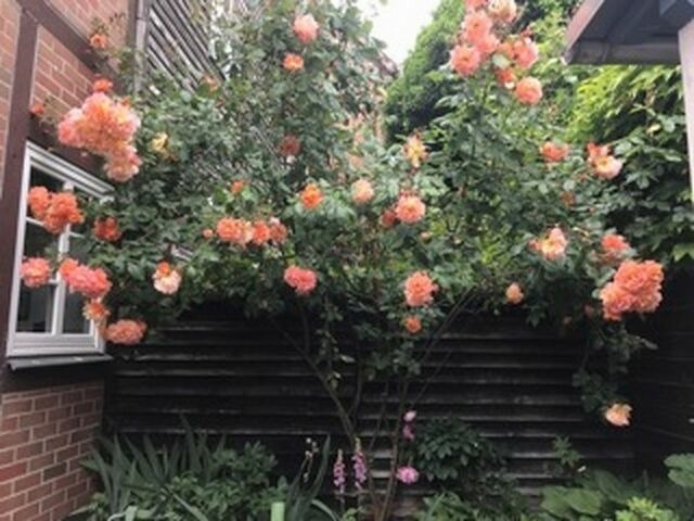 Ferienwohnung in Wismar - Isensee - ABC322 - Bild 14