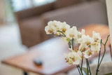 Ferienwohnung in Lauterbach - Alte Fischfabrik InselGl&uuml;ck - Bild 7