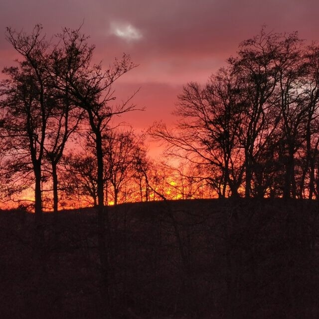 Ferienwohnung in L&uuml;bow - Eich Sahl im Herrenhaus Levetzow - 5-Sterne - ABC435 - Bild 21