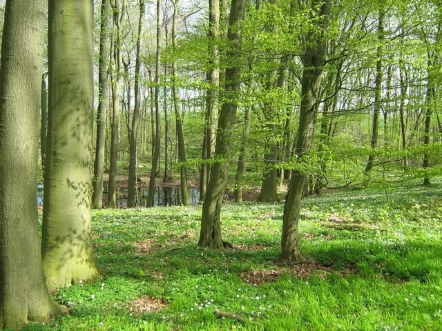 Ferienwohnung in L&uuml;bow - Bolikenberg im Herrenhaus Levetzow - 5-Sterne - ABC434 - Bild 25