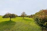 Ferienwohnung in Lancken-Granitz - Die gro&szlig;e Gr&uuml;ne - Bild 22