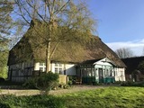 Ferienwohnung in Twedt - Hof L&uuml;cke - Ferienwohnung Natur - Bild 20