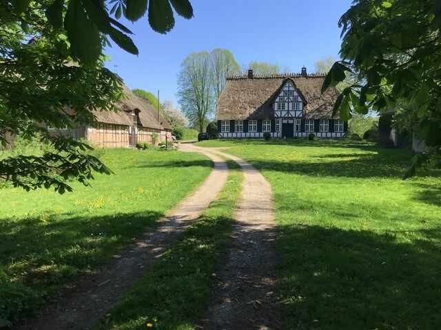 Ferienwohnung in Twedt - Hof L&uuml;cke - Ferienwohnung Natur - Bild 21