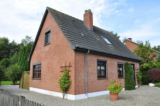 Ferienhaus in Kappeln OT Olpenitz - Ferienhaus Ewoldt - Bild 2