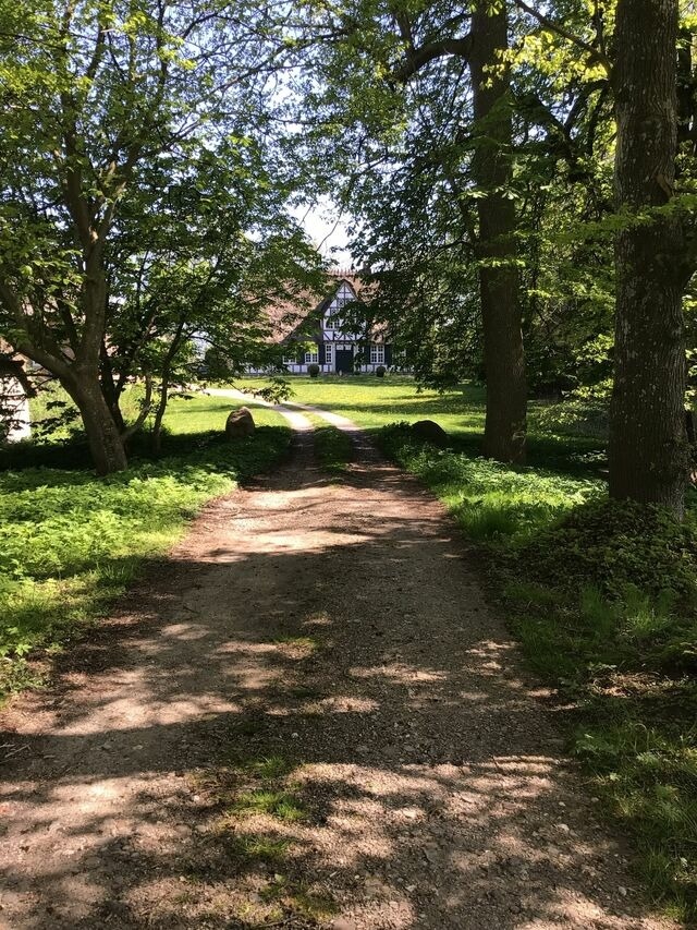 Ferienwohnung in Twedt - Hof L&uuml;cke - Ferienwohnung Blau - Bild 25