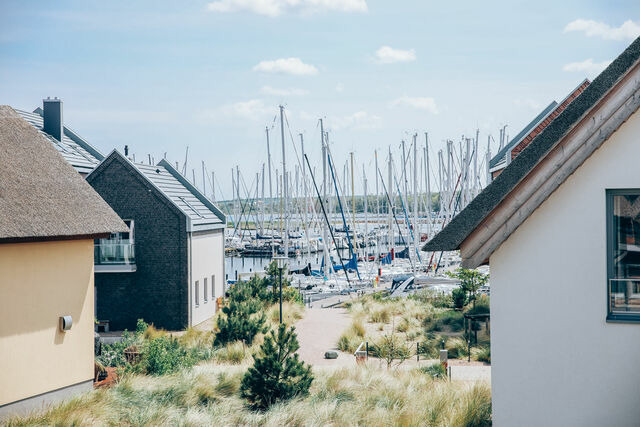 Ferienhaus in Heiligenhafen - Strandhaus D&uuml;nengras, 4GW16A - Bild 8