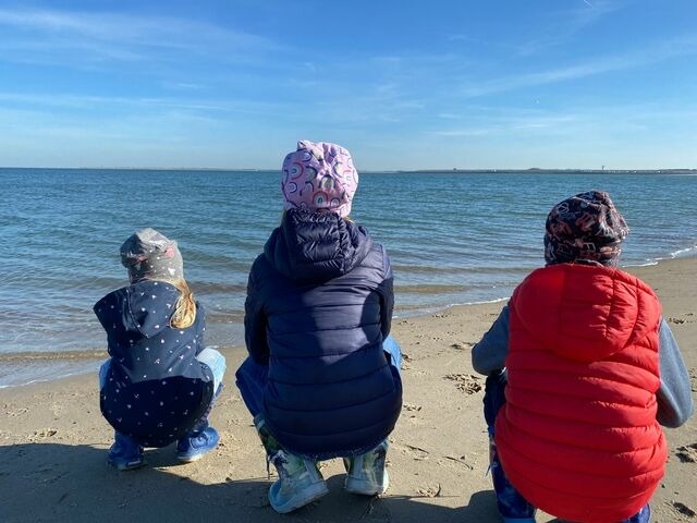 Ferienwohnung in Barendorf - Harkensee -Dassow - Haus Schwalbennest - Whg. - Bild 20