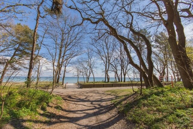 Ferienwohnung in Thiessow - Ihr Zuhause am Meer - Bild 23