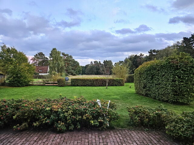 Ferienhaus in Prerow - Dat smucke Huus - Bild 19