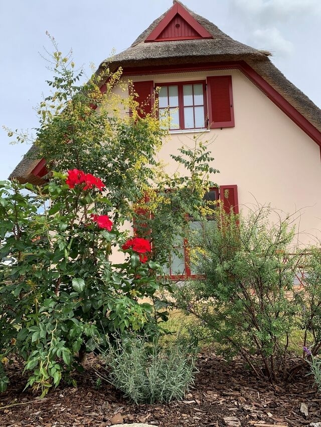 Ferienhaus in Zierow - Reethaus "L&uuml;tt Seeadler" - Bild 8