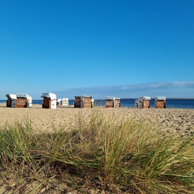 Ferienwohnung in Hohen Wieschendorf - Ferienwohnung "K&uuml;stenkr&uuml;mel No. 16 - Aurora Vista" - Bild 2