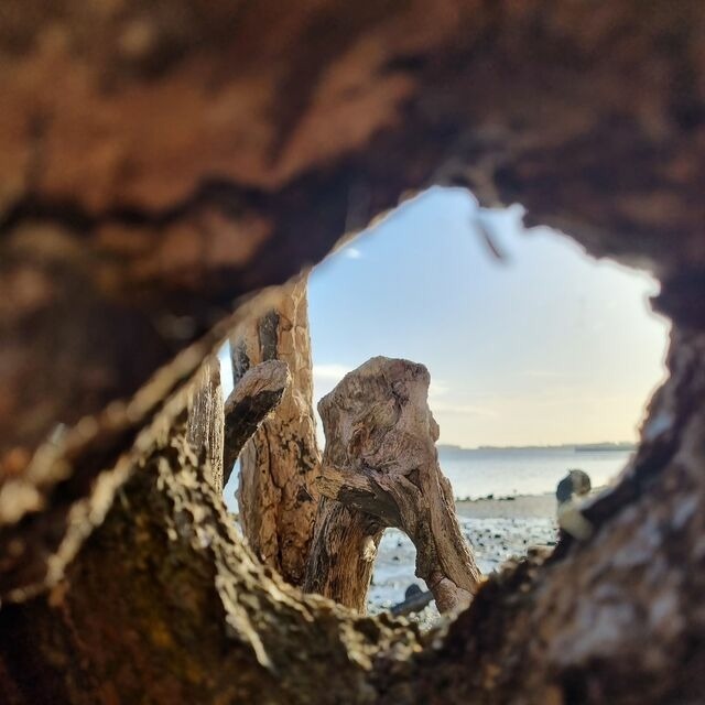 Ferienwohnung in Hohen Wieschendorf - Ferienwohnung "K&uuml;stenkr&uuml;mel No. 16 - Aurora Vista" - Bild 21