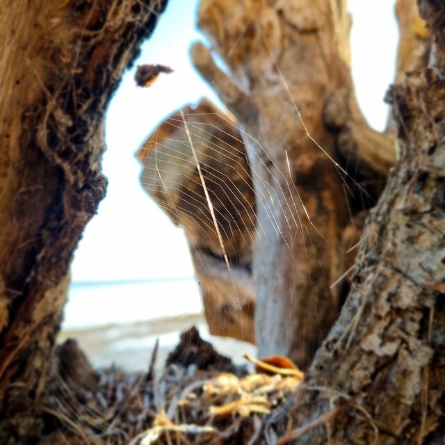 Ferienwohnung in Hohen Wieschendorf - Ferienwohnung "K&uuml;stenkr&uuml;mel No. 16 - Aurora Vista" - Bild 22